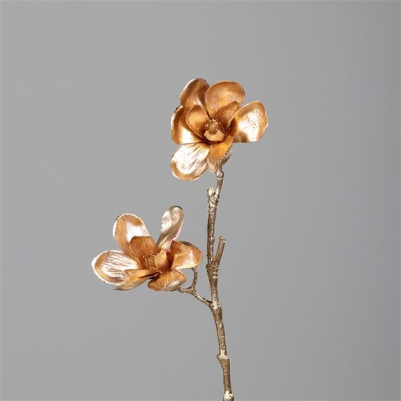 Um.magnolia zlata 70cm dpi2514296