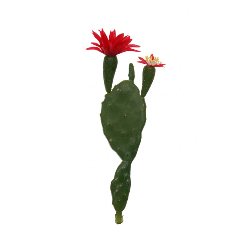 Um.kaktus s kvetmi 22cm 61509