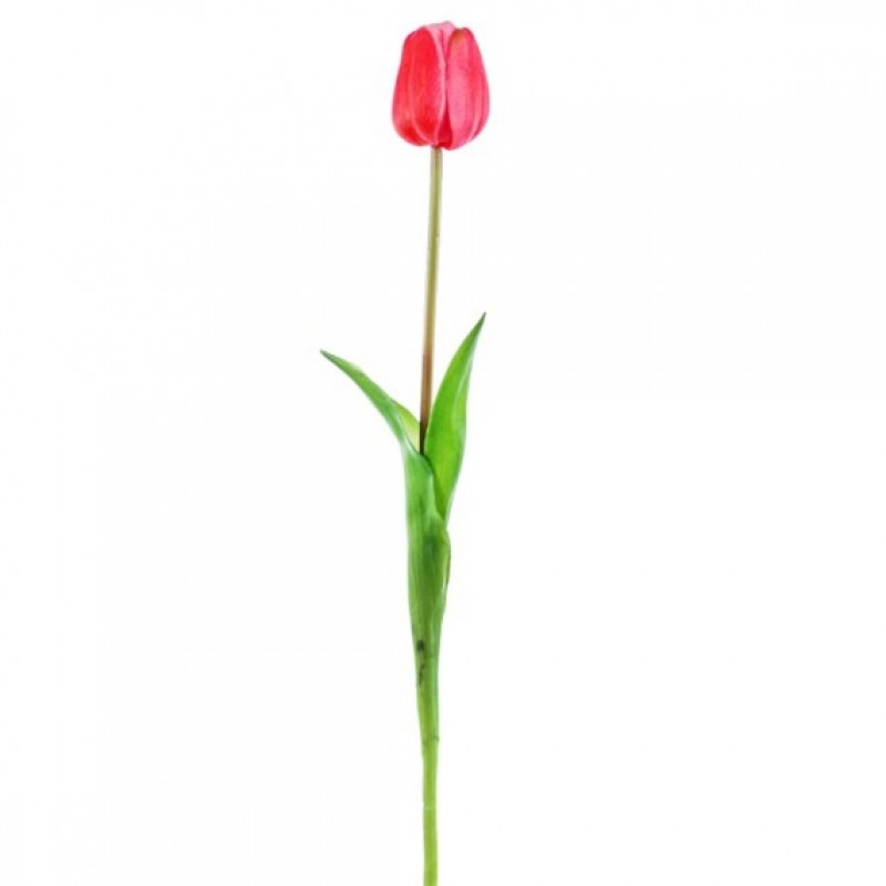 Um.tulipan 47cm a2722902 a2722903 a2722904 a2722905 a2722906 a2722915