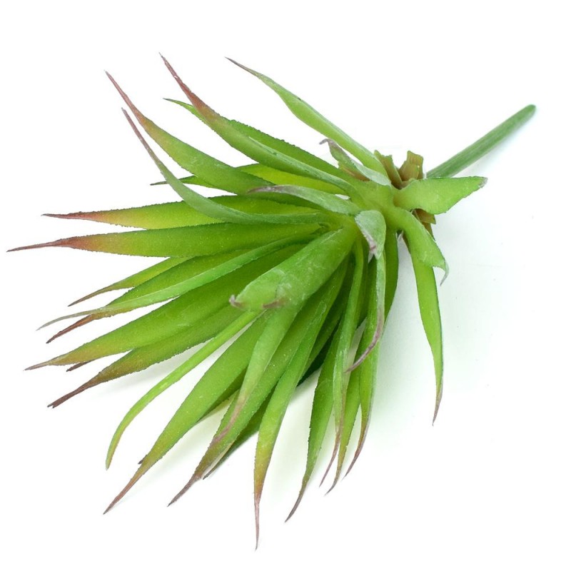 Um.suculent agave 16cm 1301145