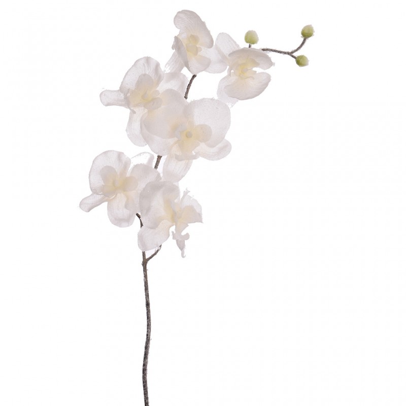 Um.orchidea zasnez.78cm 90020092